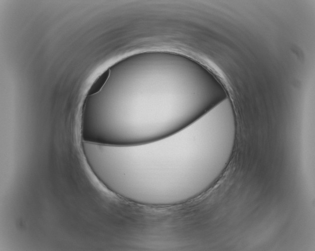 X0000114101528200910051220