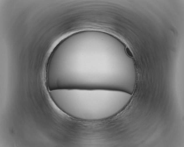 X0000114101531200910051220