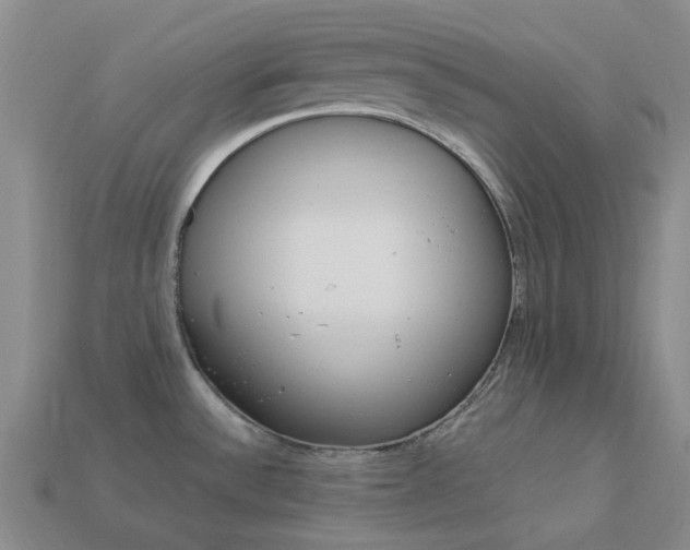 X0000114101532200910051220