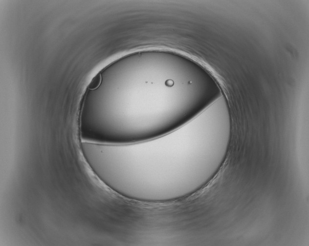 X0000114101534200910051220
