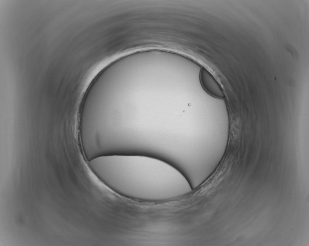 X0000114101535200910051220