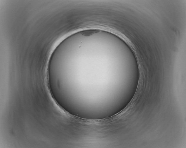 X0000114101536200910051220