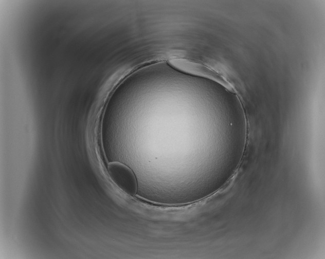 X0000114100001200910051454