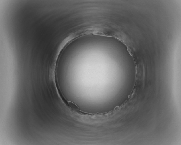 X0000114100003200910051454