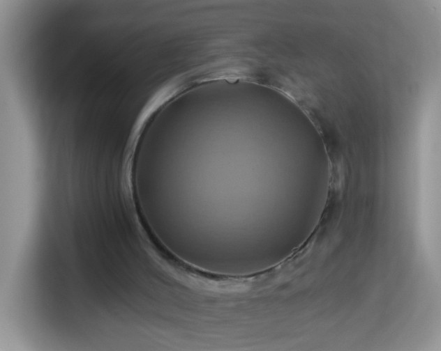 X0000114100004200910051454