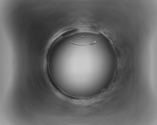 X0000114100005200910051454