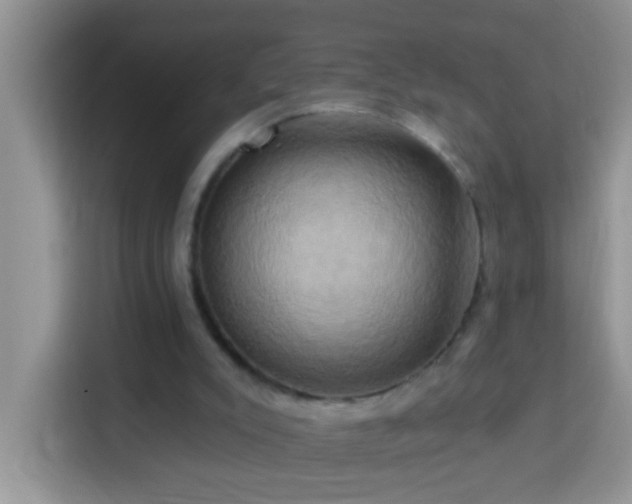 X0000114100007200910051454