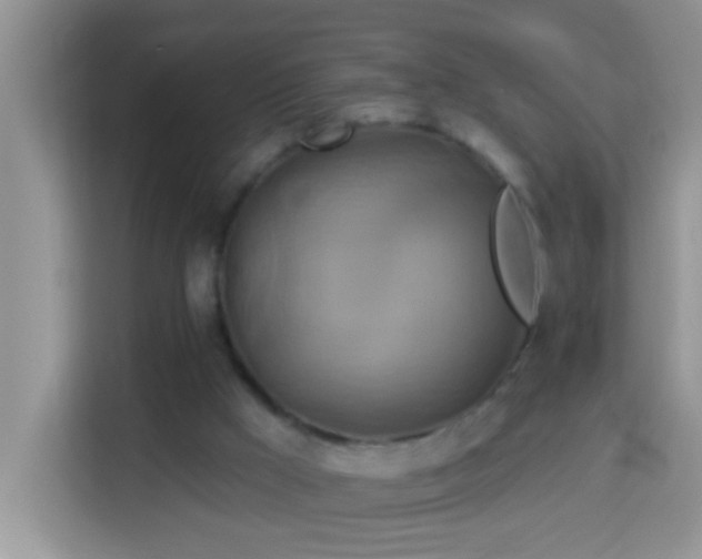 X0000114100009200910051454