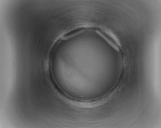 X0000114100010200910051454