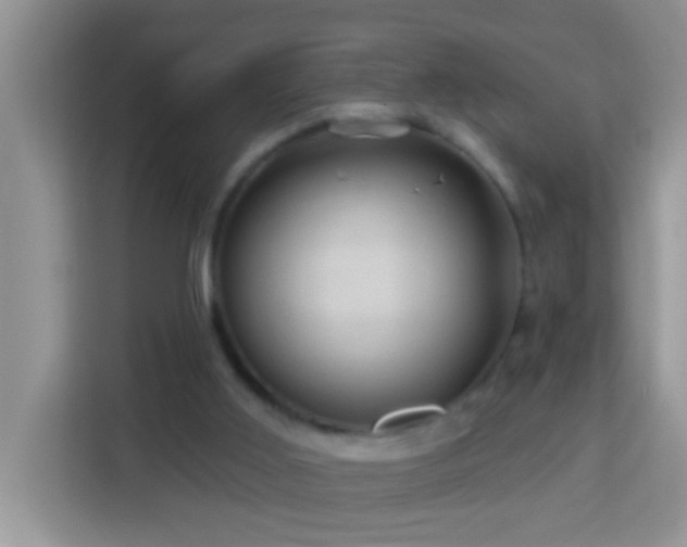 X0000114100011200910051454