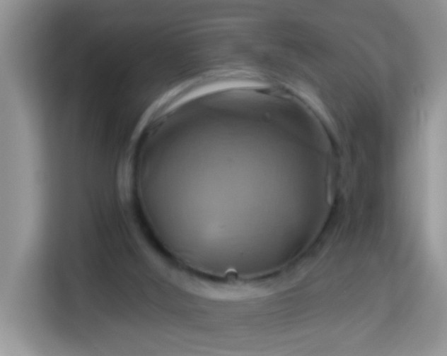 X0000114100012200910051454