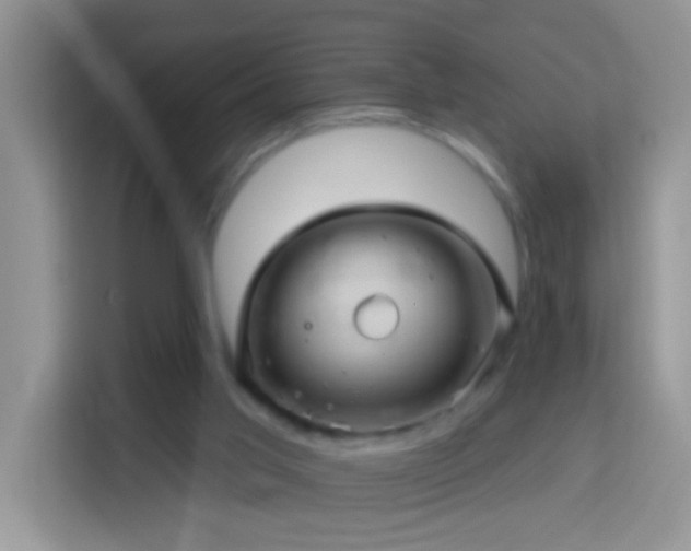 X0000114100013200910051454