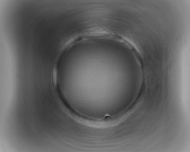 X0000114100014200910051454