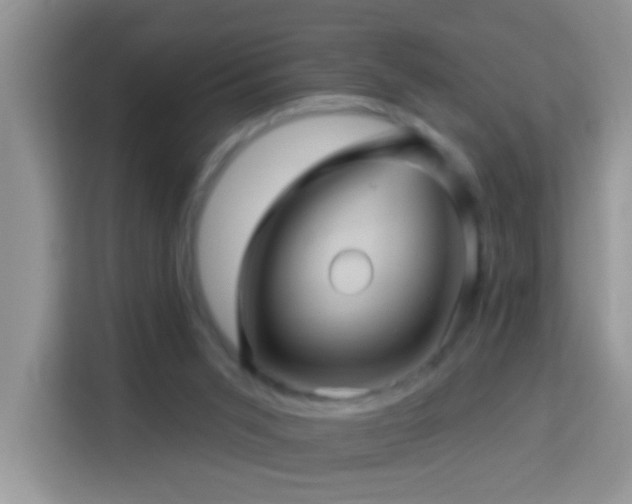 X0000114100015200910051454