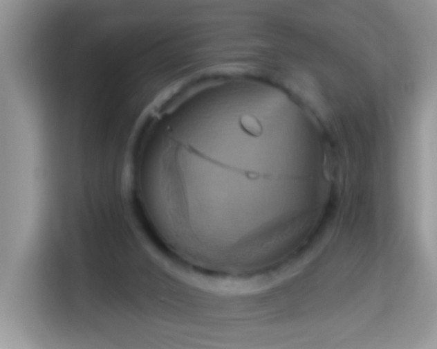 X0000114100016200910051454