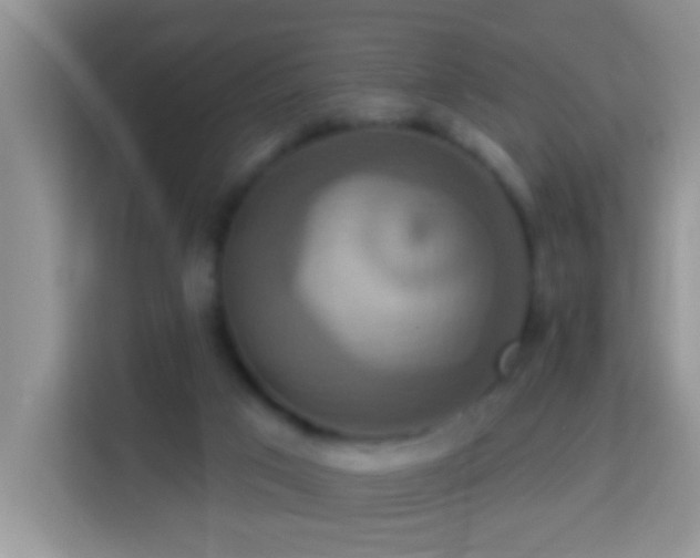 X0000114100017200910051454