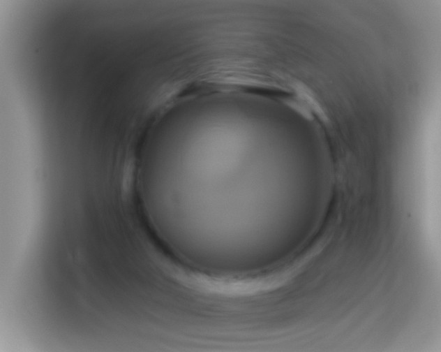 X0000114100018200910051454