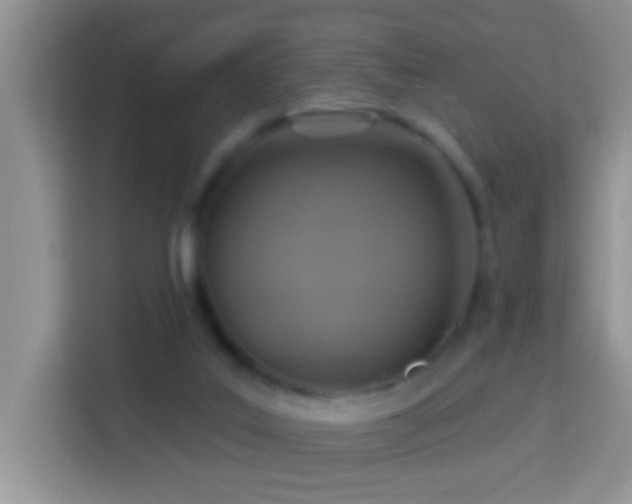 X0000114100019200910051454