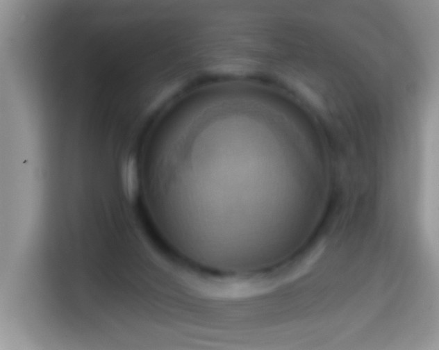 X0000114100020200910051454