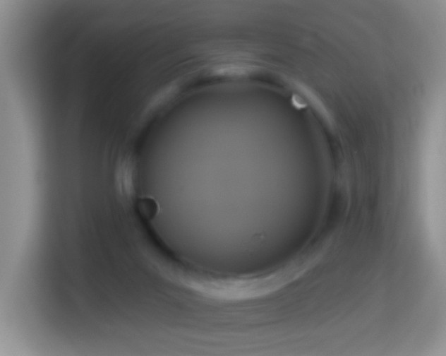 X0000114100023200910051454