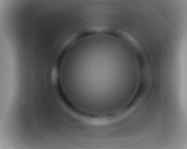 X0000114100024200910051454