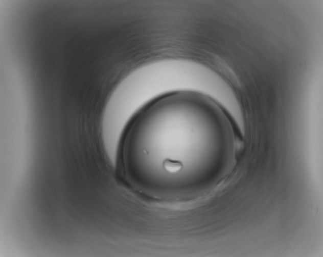 X0000114100025200910051454