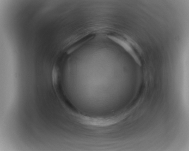 X0000114100026200910051454