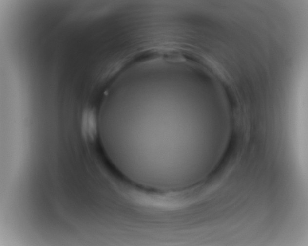 X0000114100028200910051454