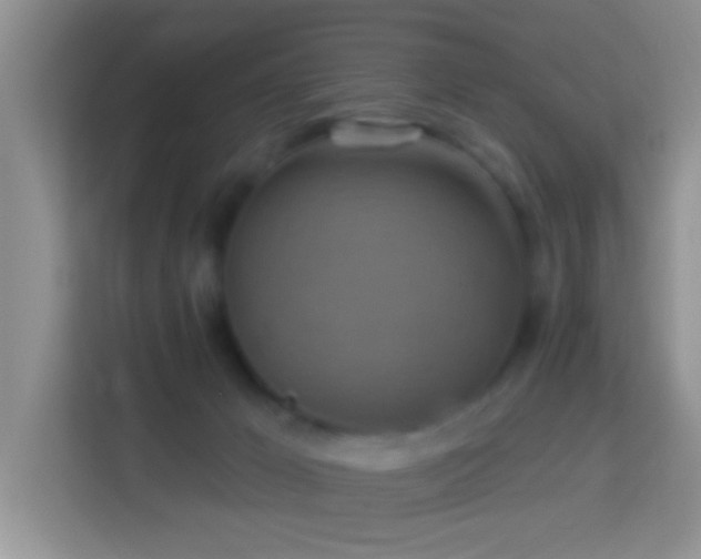 X0000114100029200910051454