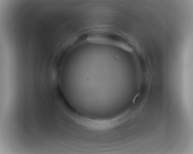 X0000114100031200910051454