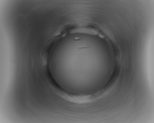 X0000114100032200910051454