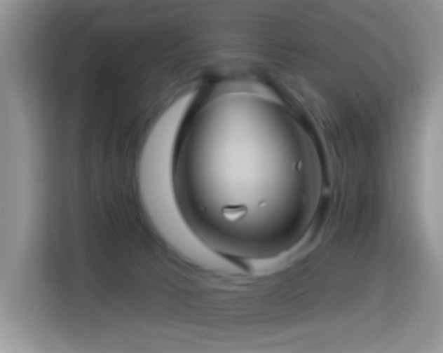 X0000114100033200910051454