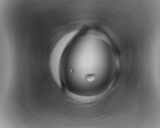 X0000114100035200910051454