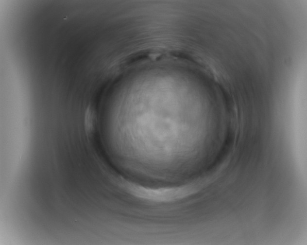 X0000114100038200910051454