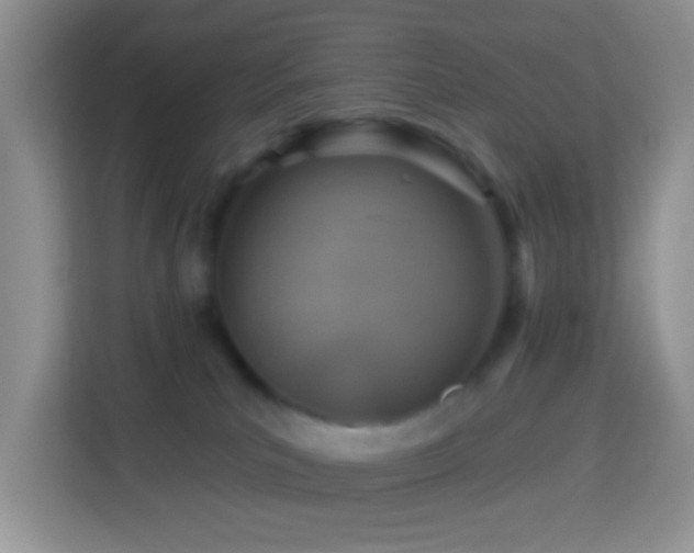 X0000114100039200910051454