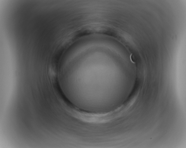 X0000114100040200910051454