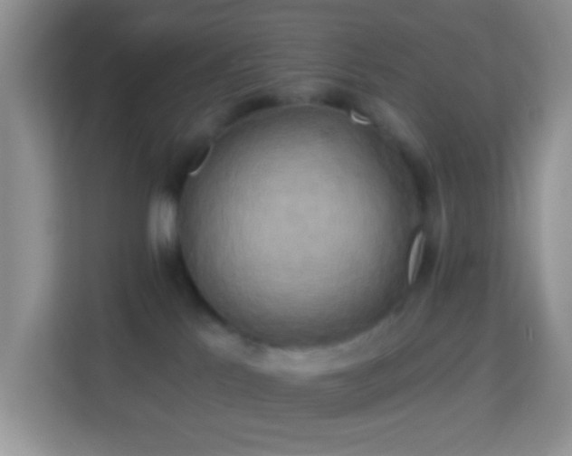 X0000114100041200910051454