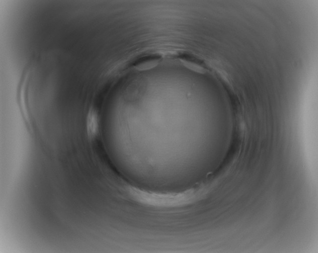 X0000114100042200910051454