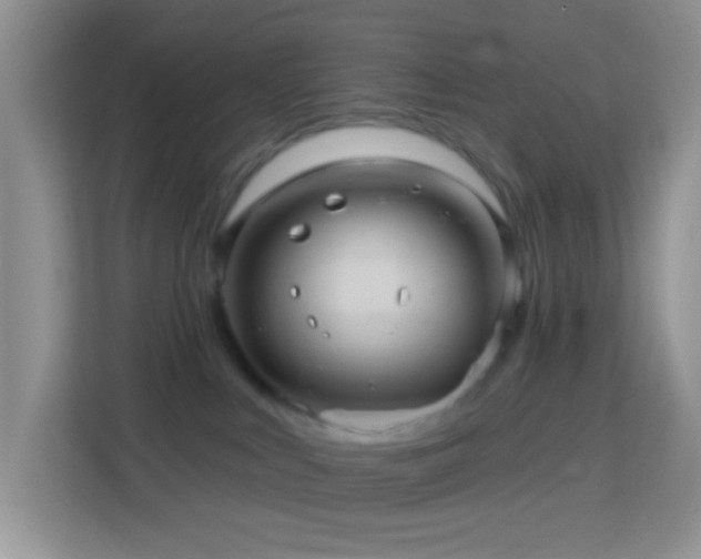 X0000114100043200910051454