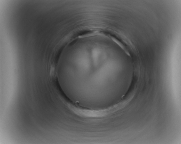 X0000114100044200910051454