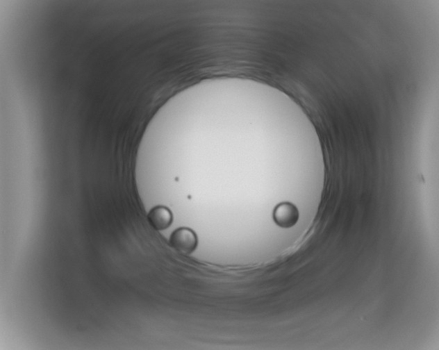 X0000114100045200910051454