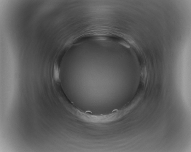 X0000114100046200910051454