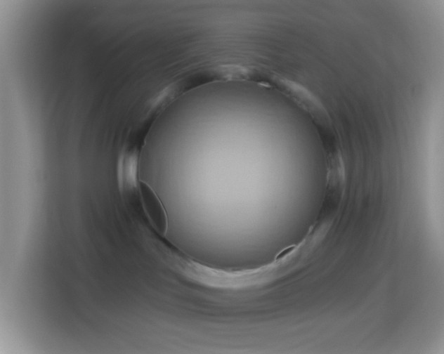 X0000114100047200910051454