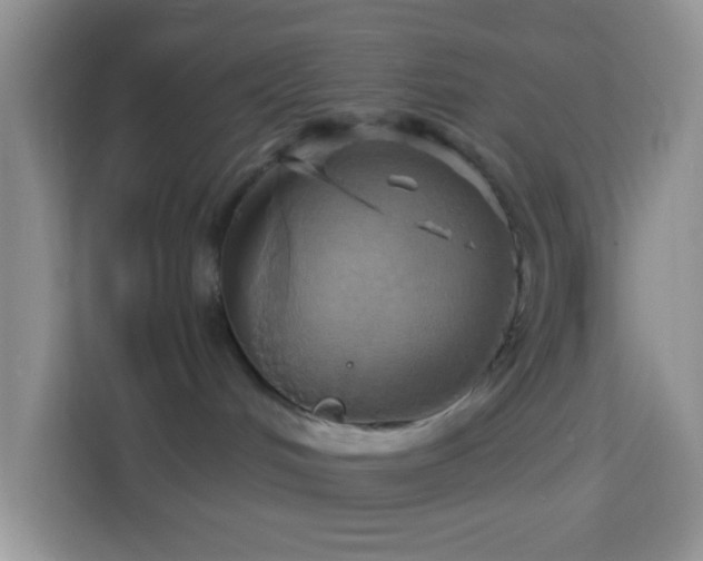 X0000114100048200910051454