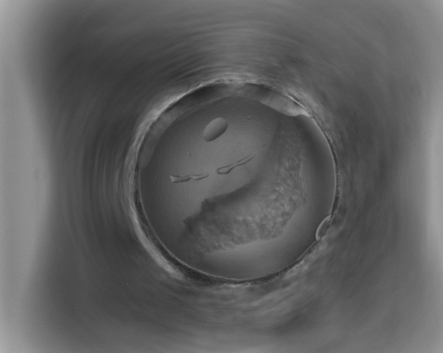 X0000114100049200910051453