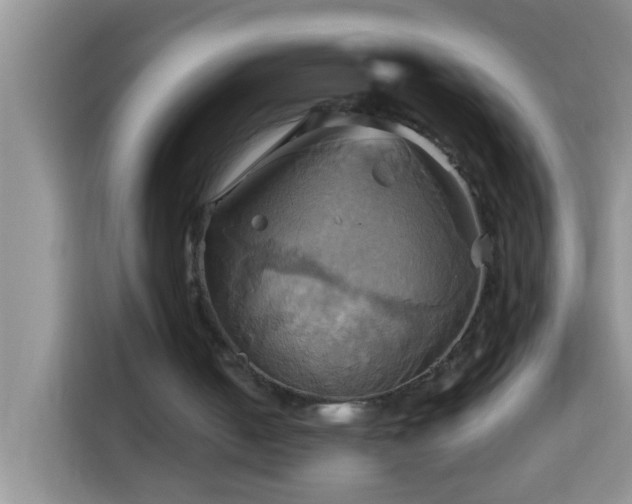 X0000114100050200910051453