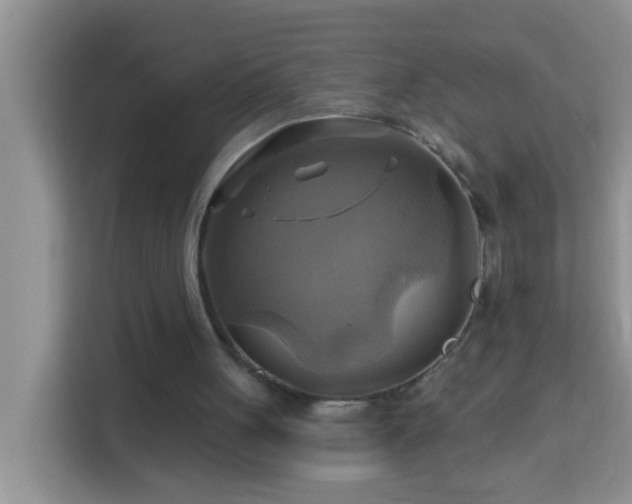 X0000114100051200910051453