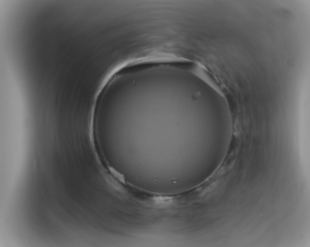 X0000114100052200910051453