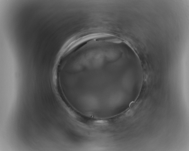 X0000114100053200910051453