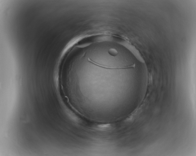 X0000114100054200910051453